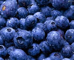 Arandano - HOMEGROWN Organic Farms